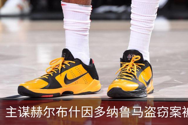 主谋赫尔布什因多纳鲁马盗窃案被判刑九年，继续被拘留